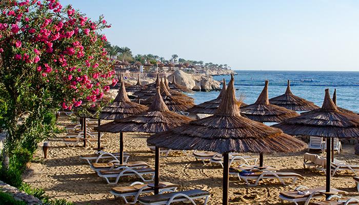 Kahire-İskenderiye-Sharm El Sheikh Turu Sömestre Özel THY İle 7 Gece (23-30 Ocak) - Görsel 3
