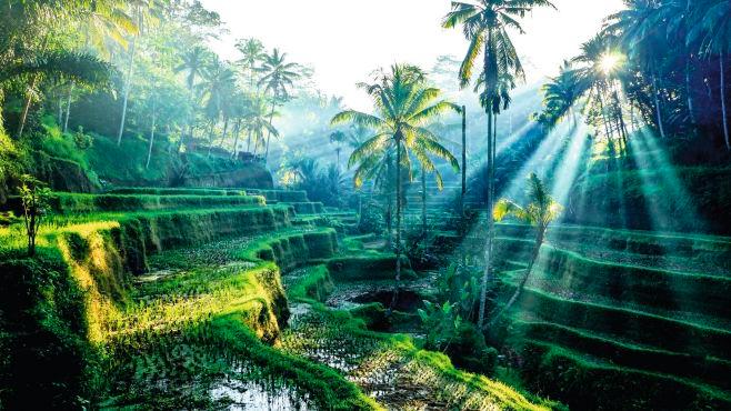 Rüya Ada Bali - Ubud Turu 6 Gece Qatar Havayolları İle Sömestre Özel - Görsel 3