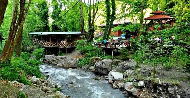 Günübirlik Ormanya Sapanca Maşukiye Turu - Görsel 2