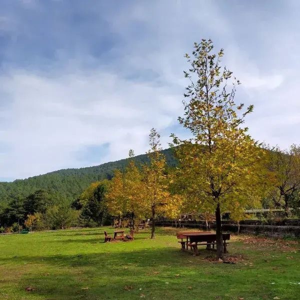 Kazdağı Jeep Safari Darıdere Tabiat Parkı - Görsel 5