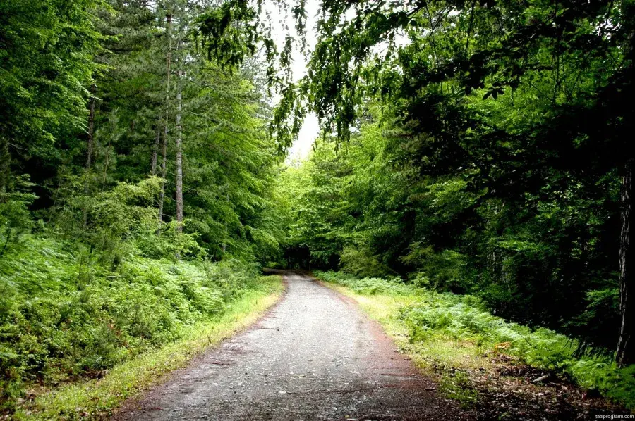 Kazdağları Jeep Safari Turu Bursa Çıkışlı - Görsel 2