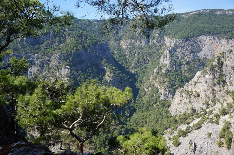 Kazdağları Jeep Safari Turu Bursa Çıkışlı - Görsel 4