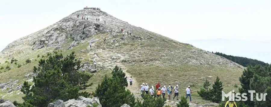 Kazdağları Sarıkız Zirve Turu - Görsel 3