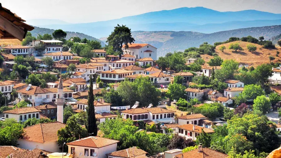 EFES ŞİRİNCE KUŞADASI TURU - Ana Görsel
