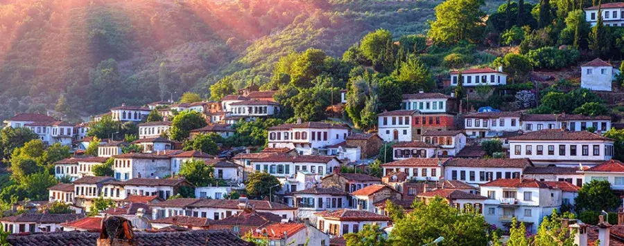 EFES ŞİRİNCE KUŞADASI TURU - Görsel 5