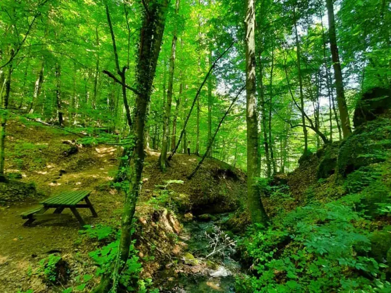 Yedigöller Turu Bursa Çıkışlı - Görsel 5